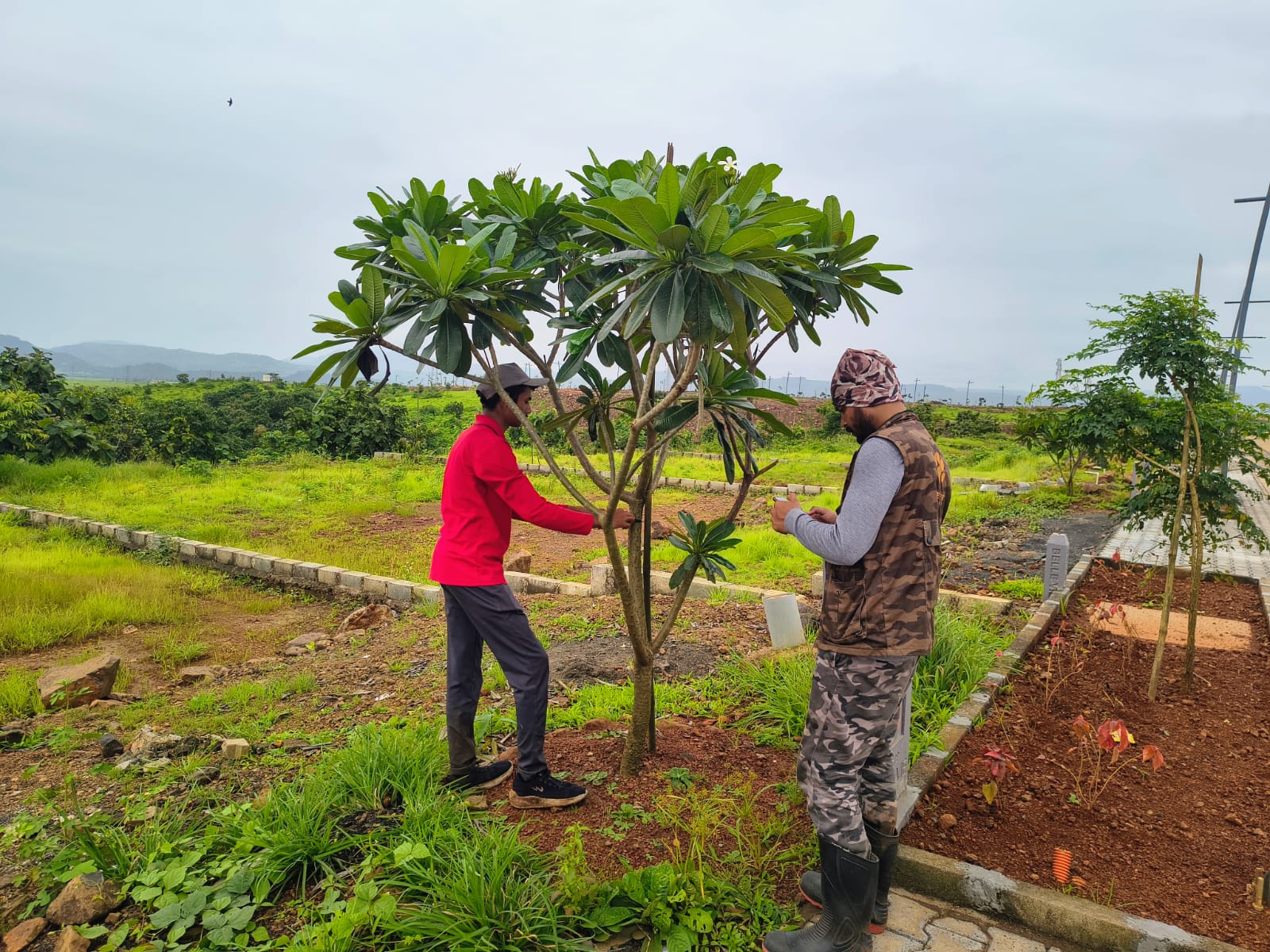 Net zero fieldwork for Rustomjee